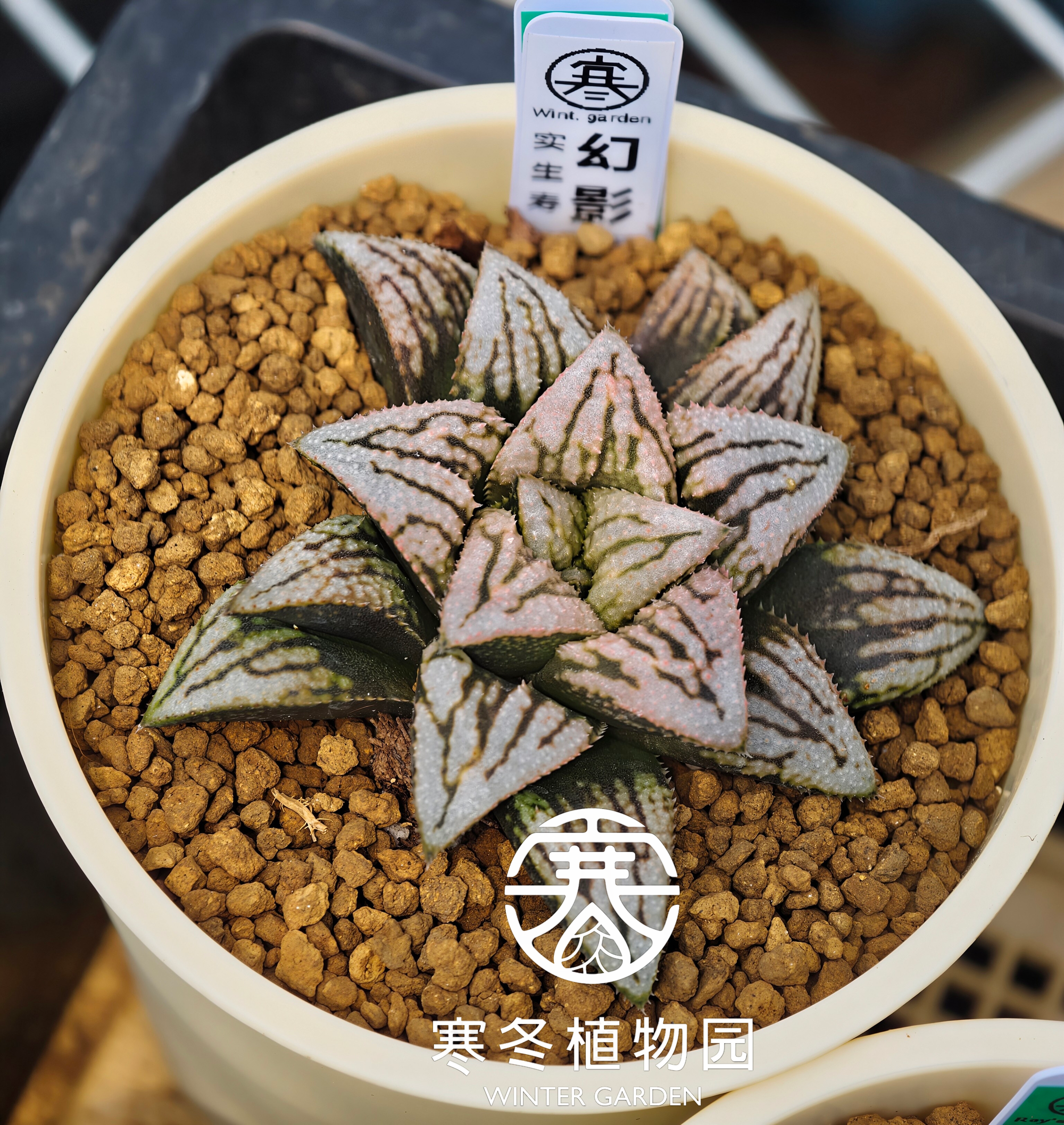 幻影